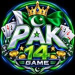 pak14 game