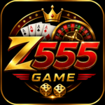z555 game