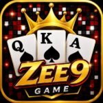 zee9 game
