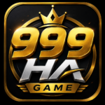 999HA Game